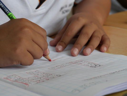 Cultivating a Dynamic Learning Environment: 10 Strategies to Support Your Child's Development
